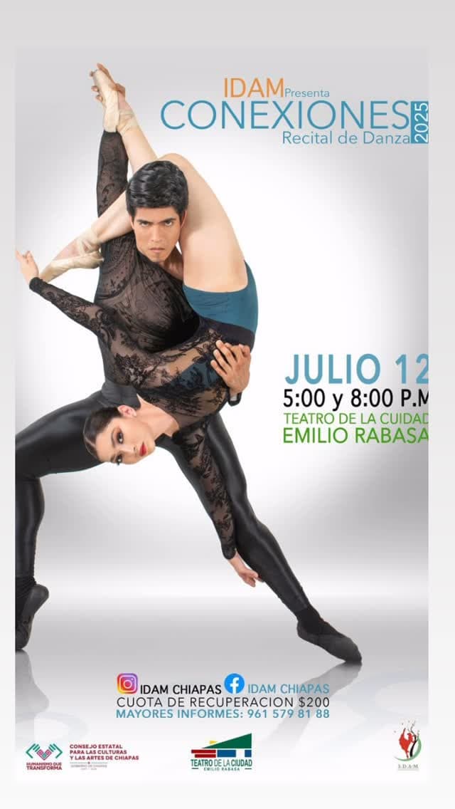 Cartel de Conexiones, recital IDAM, 12 de julio de 2025