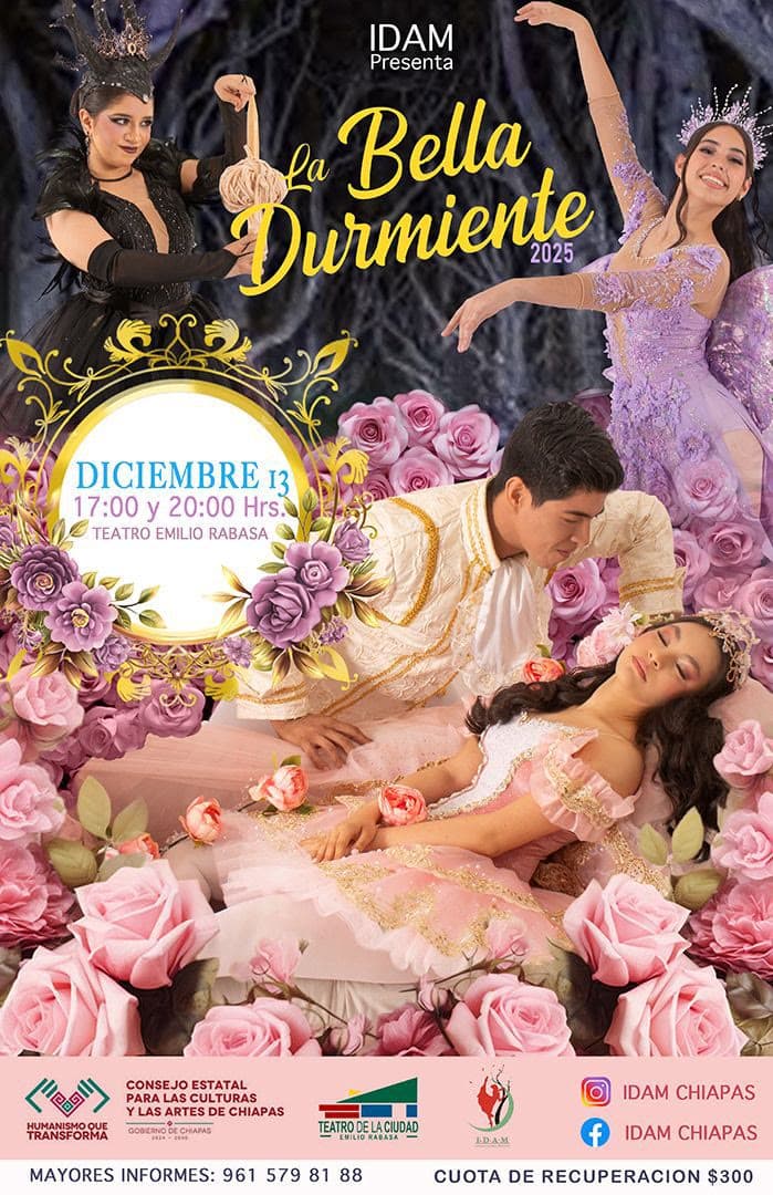 Cartel de La Bella Durmiente, IDAM, diciembre de 2025
